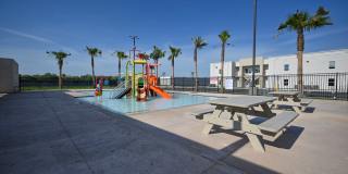 The Tree Apartments Gallery 52