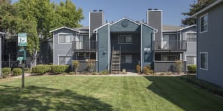 Cypress Creek Gallery 44