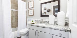 The Lynx The Lynx Gallery 22