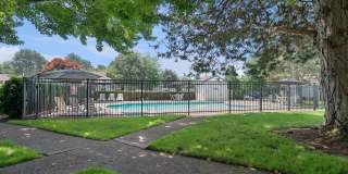 Foothills Gallery 26