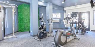 Rise on Cactus Gallery 112