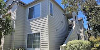 2116 Hastings Shore LN Gallery 1