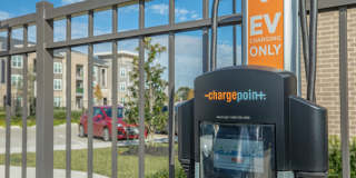 Territory at Greenhouse Gallery 36