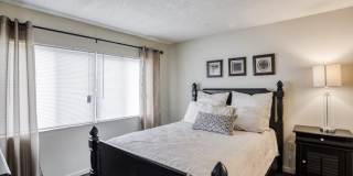 Buena Vista Gallery 32