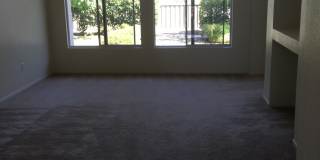 Dog Friendly in 55+ Community Gallery 1