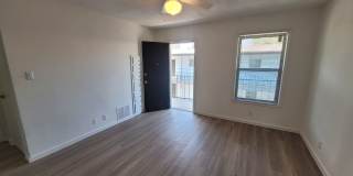 Penthouse Gallery 70