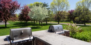 Avana Southview Gallery 40