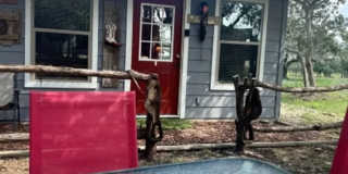 FOR LEASE!! Gallery 1