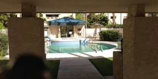 Beautiful Condo Gallery 3