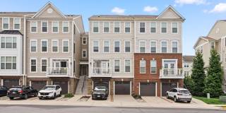 42243 CANARY GRASS Square Gallery 1