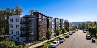 Avaya Ridge Gallery 29