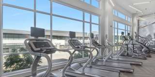 Avalon Lowry Gallery 38