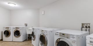 White Pines Gallery 43