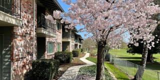 Royal Greens Apartments Gallery 2