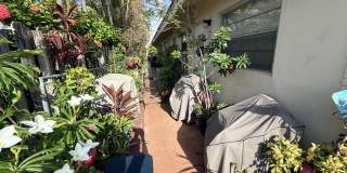 4649 Bougainvilla Drive Gallery 12