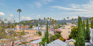 Kingsley Court Gallery 35