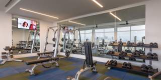 The Marlowe Gallery 16