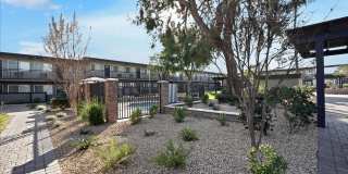 Tierra Palms Gallery 99