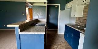 1803 Stardust. 1803 Stardust. Gallery 12