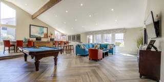 Renaissance Gallery 20