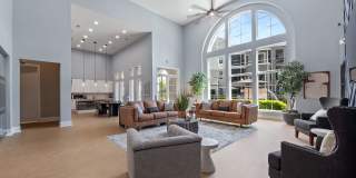 Kings Cove Gallery 9
