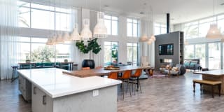 Olympus Corsair Gallery 15