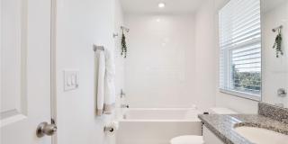 3105 DOUGLAS FIR DRIVE Gallery 24