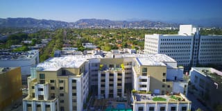 The Mansfield at Miracle Mile Gallery 81