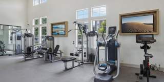 The Mason Gallery 33