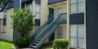 Buena Vista Gallery 5