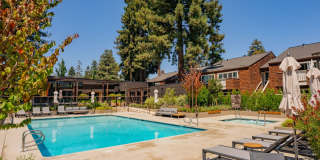 Peartree Apartments Gallery 26