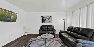 Shelby Courts Gallery 1