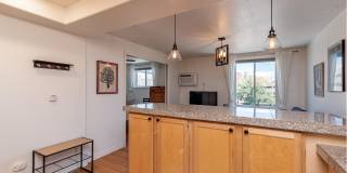 1833 North Williams Street - 504 Gallery 8