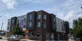 Woodland Woodland Gallery 1