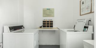 2309 Park Lane Gallery 32