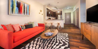 Axis Gallery 9