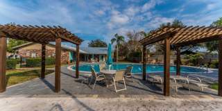 Sea Oats Sea Oats Gallery 46