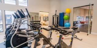 Aurella Cary Gallery 22