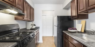 Carolina Village Gallery 27