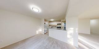 Fresh and ready 2Bed/1Bath - Close to Metro, Shopping, and Dining! Gallery 4