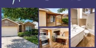 9006 Pinseeker Gallery 1