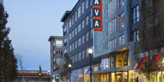 AVA Somerville Gallery 34