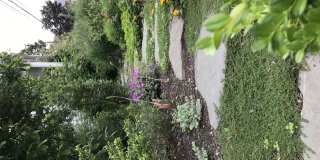 27 Albion StreetUnit 3 Gallery 24