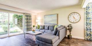 Alder Bellevue Gallery 4