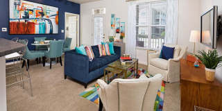 Addison Crater Woods Gallery 5