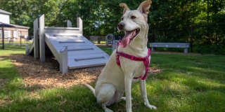 The Avenue Gallery 26