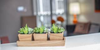 Willow Springs Gallery 51