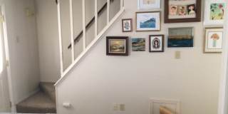 503 S Urbana Gallery 29