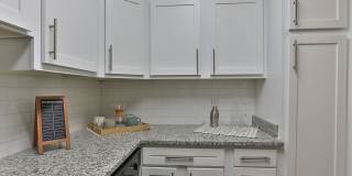 Cooper at Forest Acres Gallery 5
