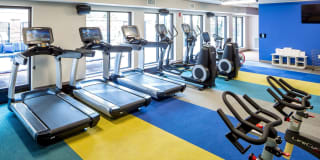 The Paxon Gallery 24